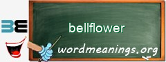 WordMeaning blackboard for bellflower